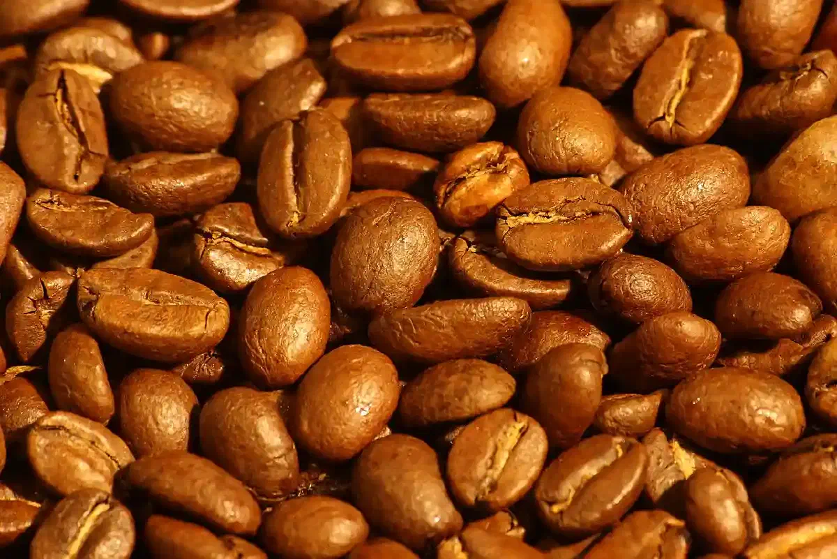 The Great Panic - Part 3: The Trial of the Bean