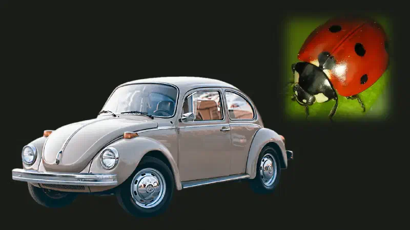 VW Beetle Bug